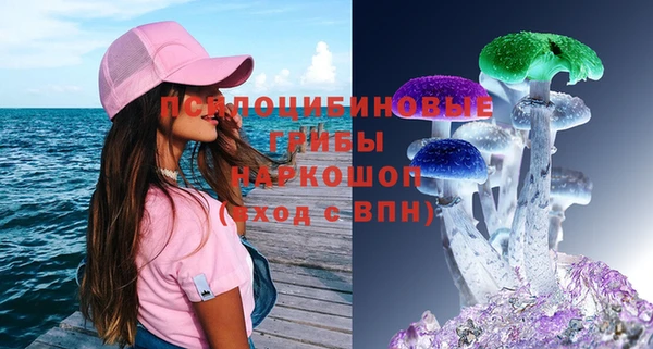 СК Алексеевка