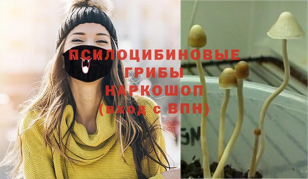 герыч Алзамай