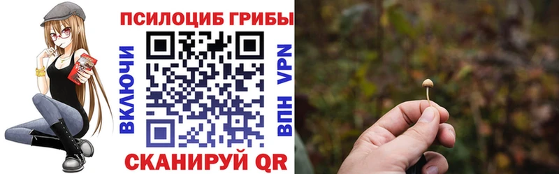 Псилоцибиновые грибы Psilocybine cubensis  Апатиты 