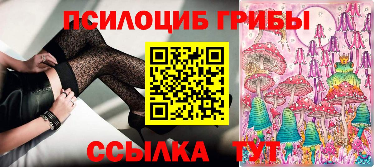 Галлюциногенные грибы Psilocybine cubensis  Вход с VPN  Псилоцибиновые грибы MAGIC MUSHROOMS  Апатиты 
