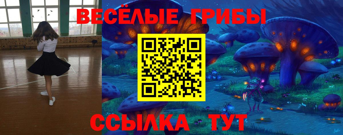 Псилоцибиновые грибы Cubensis Апатиты